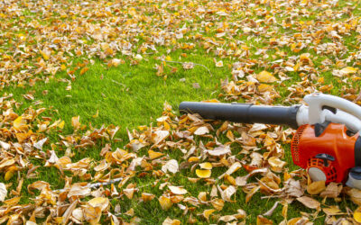 LARCHMONT GAS-POWERED LEAF BLOWERS
