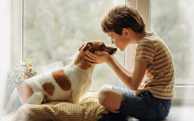 Adopting a Pet