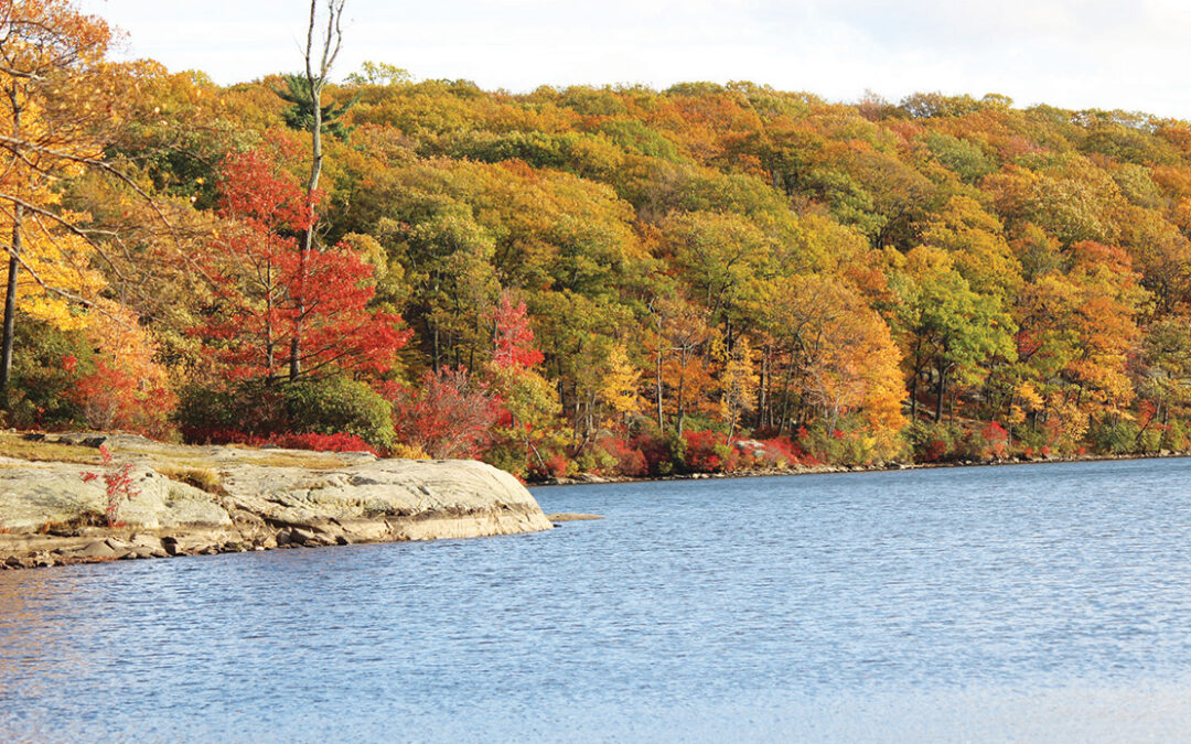 5 beautiful places to enjoy fall foliage
